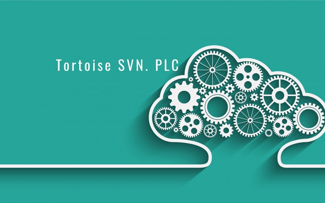 SVN 4 PLC